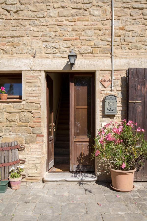 Agriturismo L'Esinante Cupramontana Exterior foto