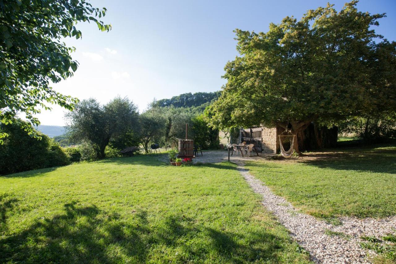 Agriturismo L'Esinante Cupramontana Exterior foto